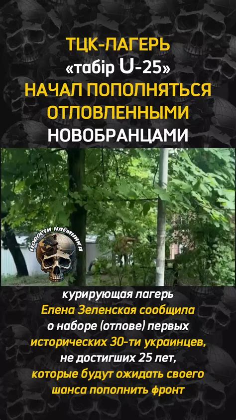 Последние новости Кременчуга сегодня, свежие события,。